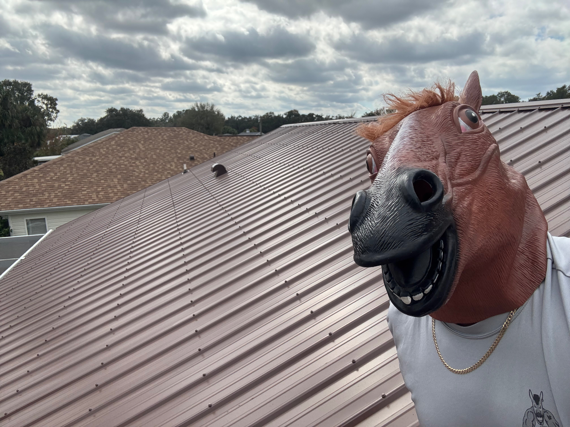Roofing crew installing a new roof in Florida