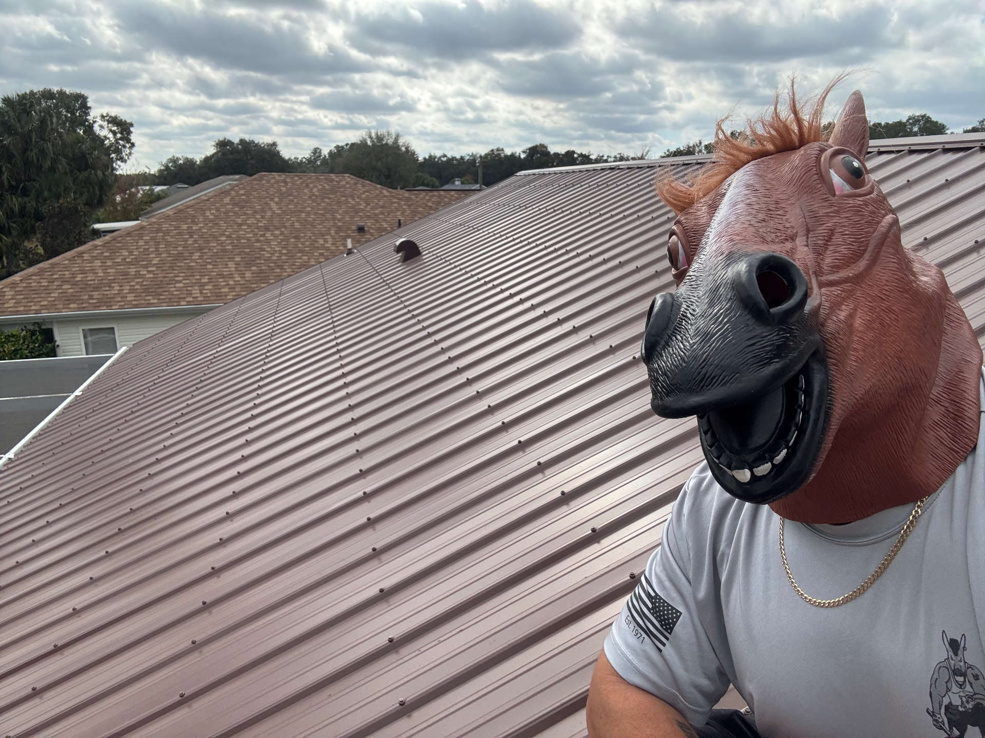 Raymond Frankart Roofing crew member in horse mask on freshly installed copper-tone standing seam metal roof